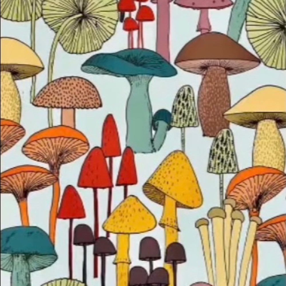 Meet your Posher, Summer